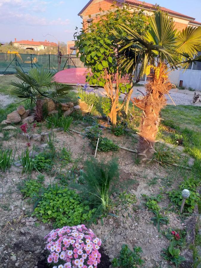Apartamento Istra Koper Exterior foto